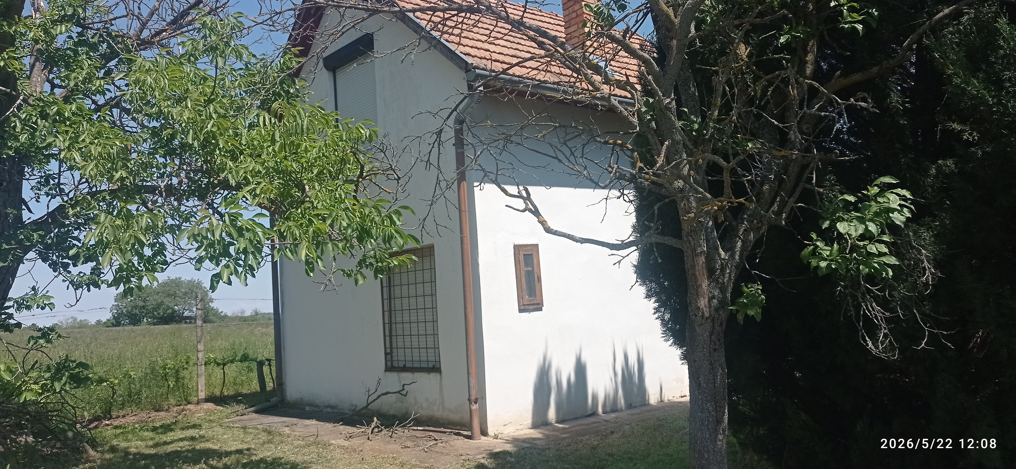 Galéria kép